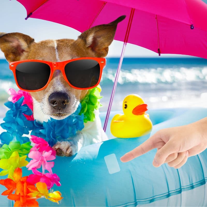 tds0646z_ Zestaw naprawczy do materaców basenów 5x